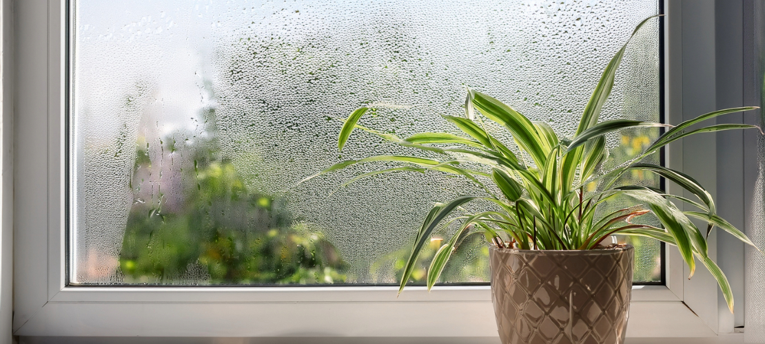Humidité et condensation : solutions simples pour assainir son logement en hiver