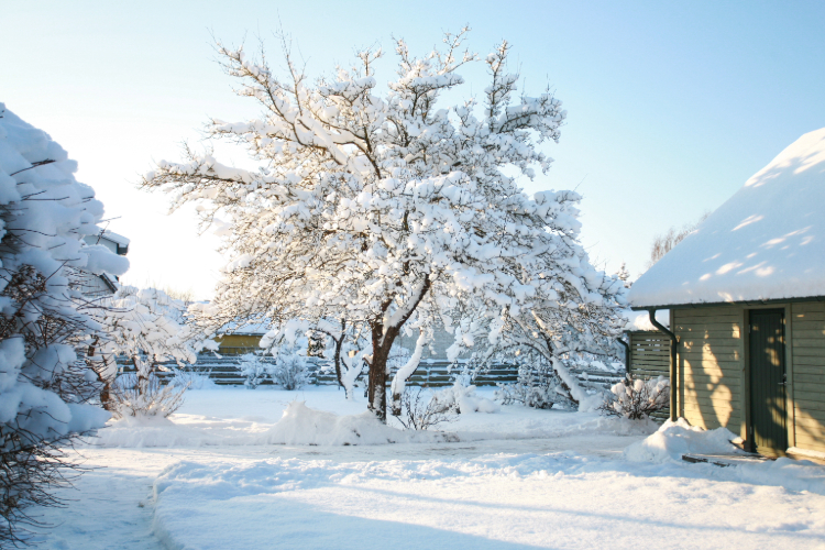 Les bienfaits d’un jardin d’hiver pour votre maison