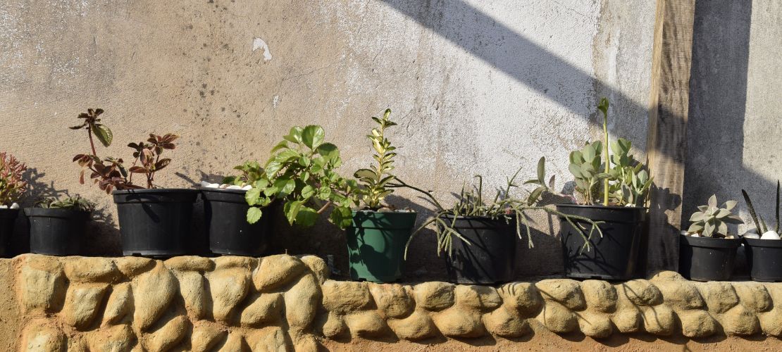 Les murs défraîchis vont avec le style rustique