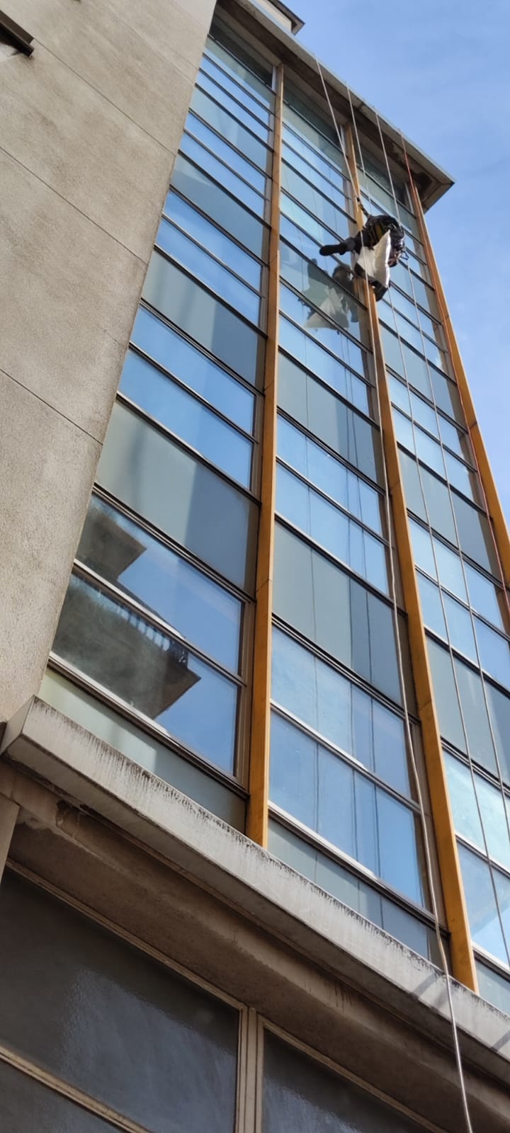 Image de la galerie