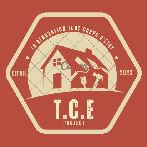 Logo de TCE Project