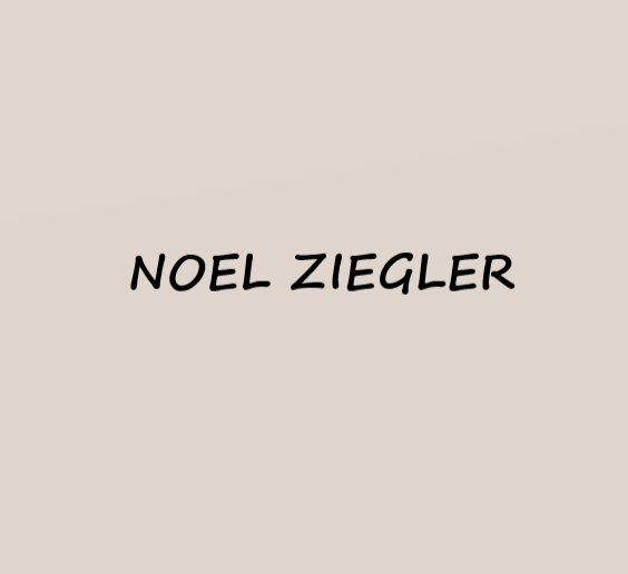 Avatar de MONSIEUR NOEL ZIEGLER