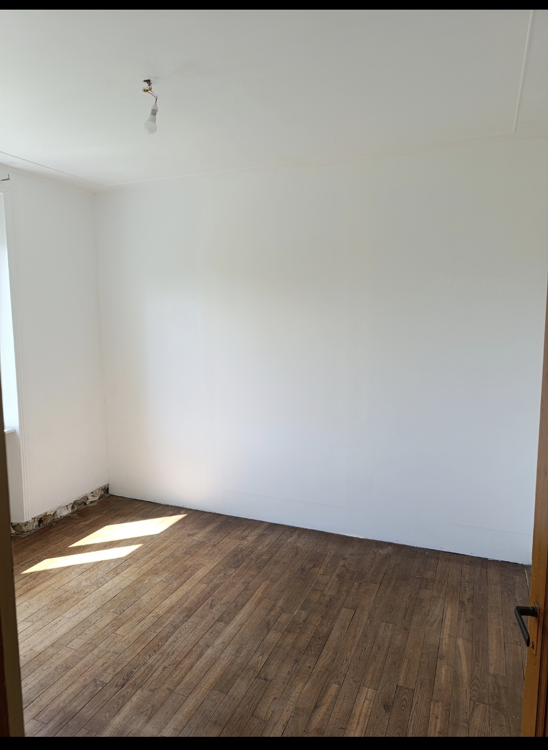 Image de la galerie
