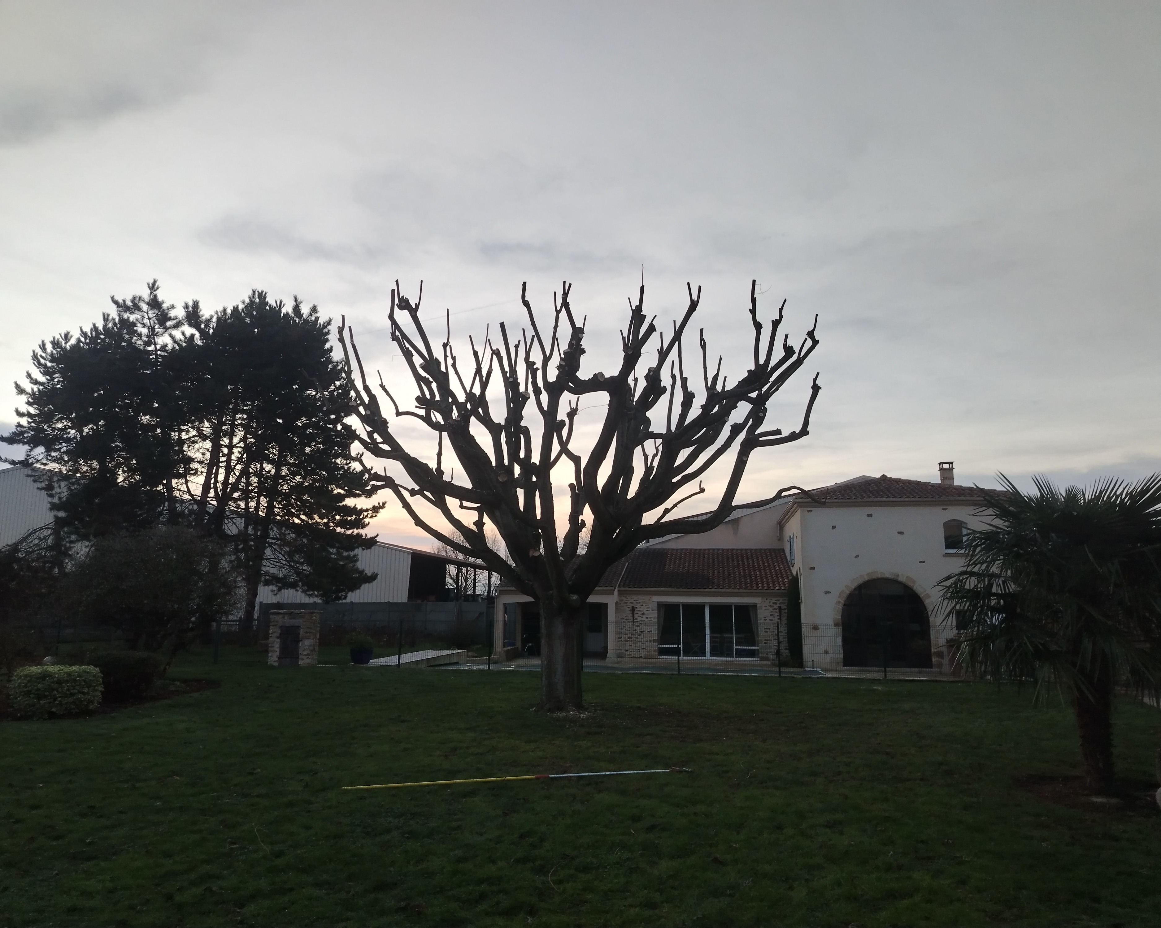 Image de la galerie