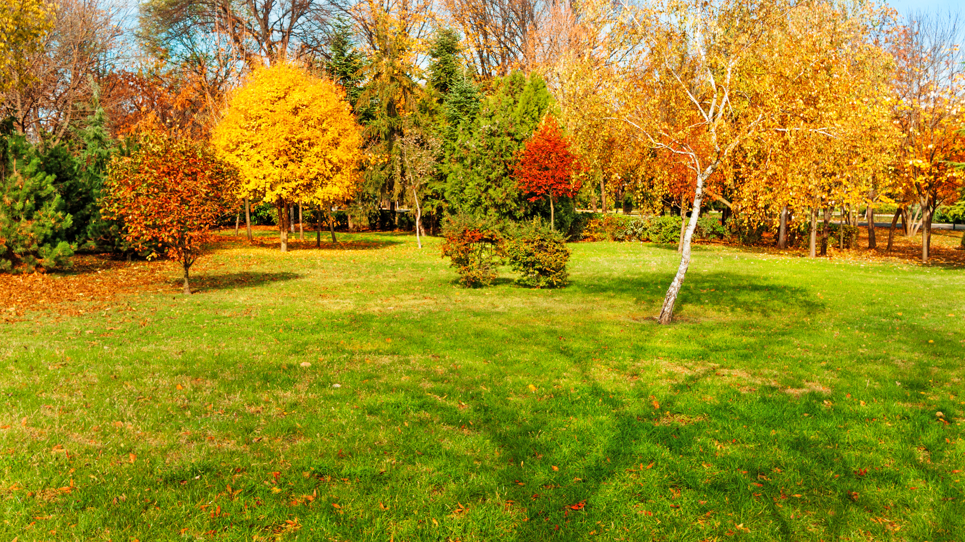 Préparez votre jardin pour l'automne : conseils pour un espace extérieur prêt pour la saison